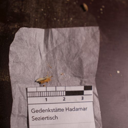 Untersuchung und Konservierung Conservation Pool