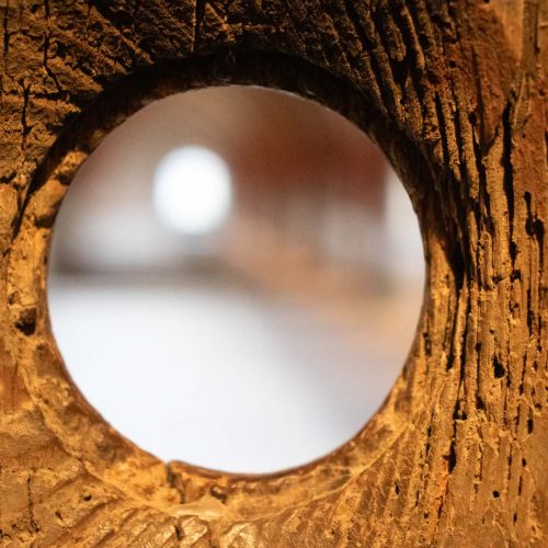 Holztür Ostflügel Kloster Eberbach Bestandsaufnahme durch Conservation Pool
