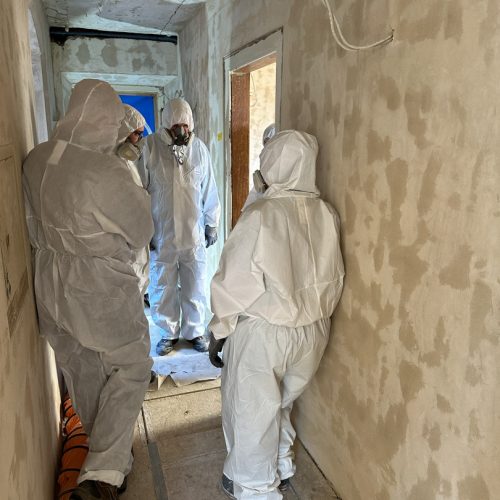 Torwächterhaus von innen 3 Menschen im Schutzanzug bei der Begutachtung der Innenräume vor der Restaurierung